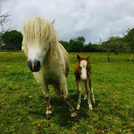 Hotel apartamentowy Au Bord De La Piscine Chauffee Et Privee Pour Vous Le Soir !