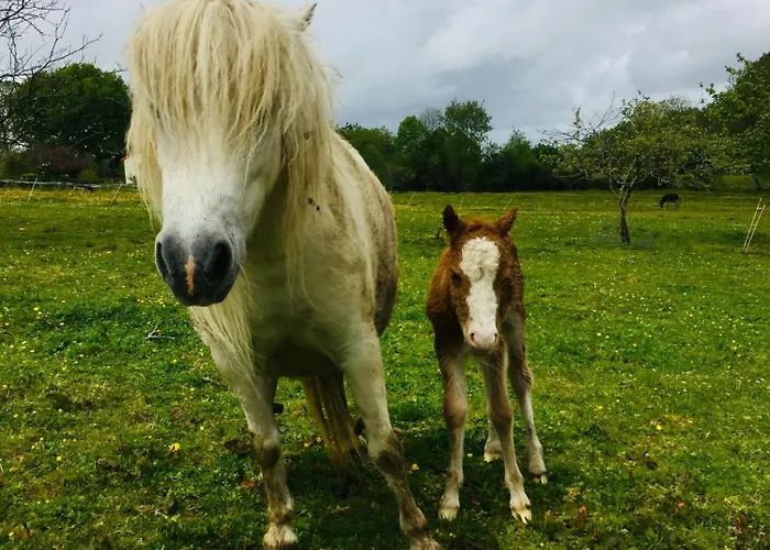 Ξενοδοχείο με διαμερίσματα Au Bord De La Piscine Chauffee Et Privee Pour Vous Le Soir !